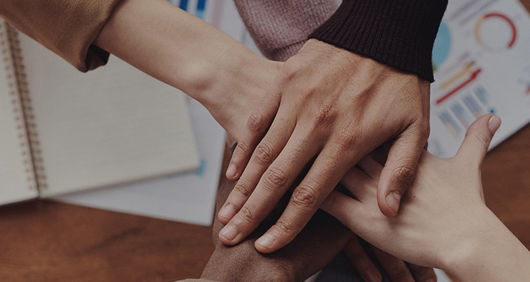 �й���888�����(�ɷ�)���޹�˾-�ٷ���վ